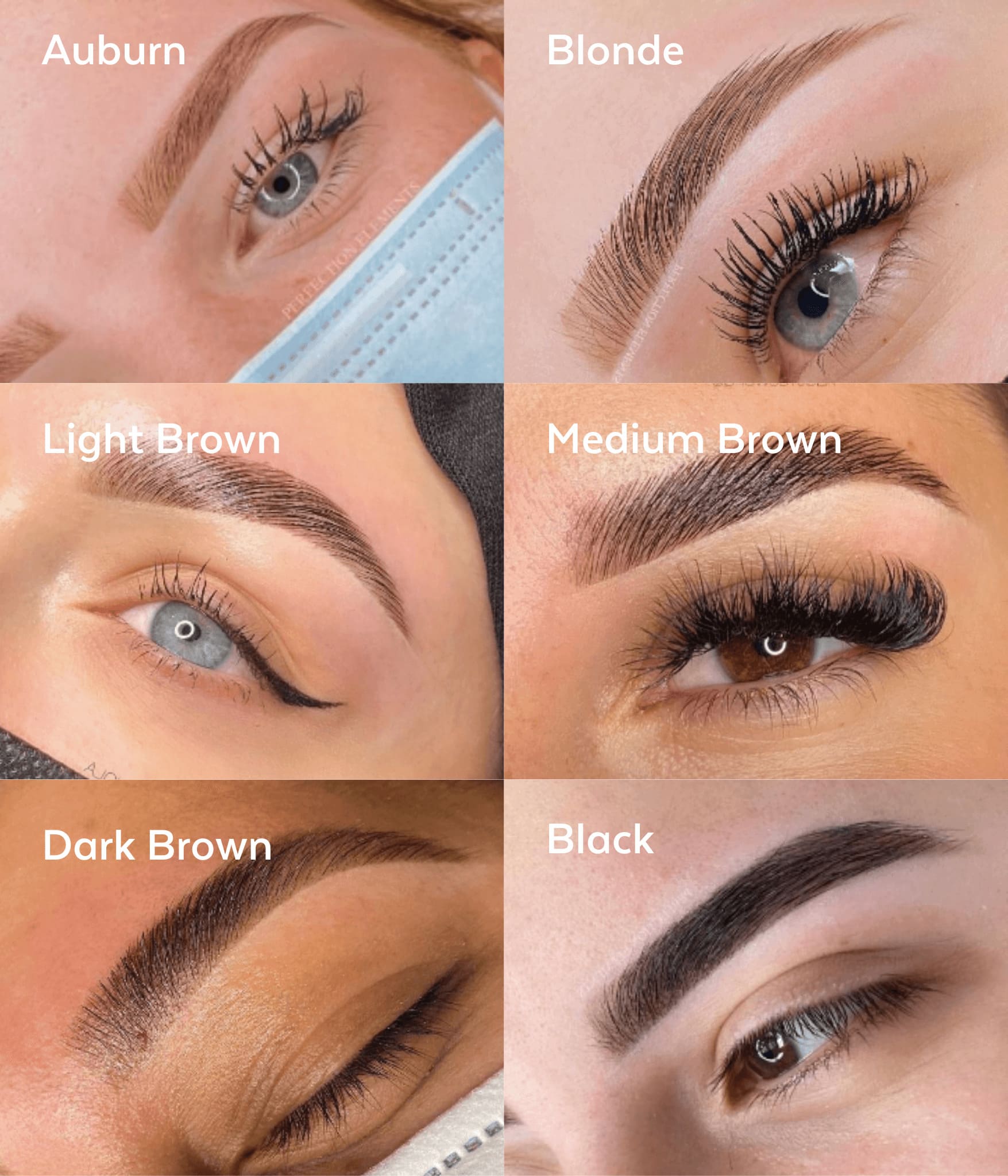 SUPERCILIUM - BROW HENNA - BLACK - Luna Beauty Supplies