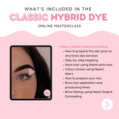 NOEMI - CLASSIC HYBRID DYE ONLINE MASTERCLASS - Luna Beauty Supplies