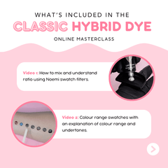 NOEMI - CLASSIC HYBRID DYE ONLINE MASTERCLASS - Luna Beauty Supplies