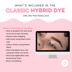 NOEMI - CLASSIC HYBRID DYE ONLINE MASTERCLASS - Luna Beauty Supplies