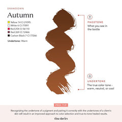 TINA DAVIES - BROW PIGMENT - AUTUMN - Luna Beauty Supplies