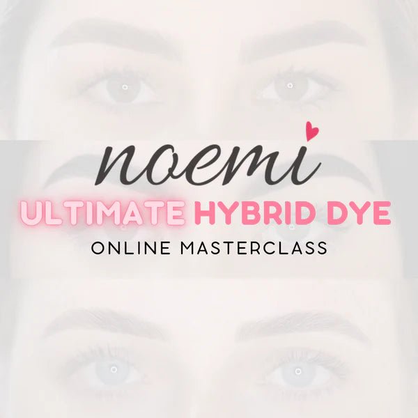 NOEMI - ULTIMATE HYBRID DYE ONLINE MASTERCLASS - Luna Beauty Supplies